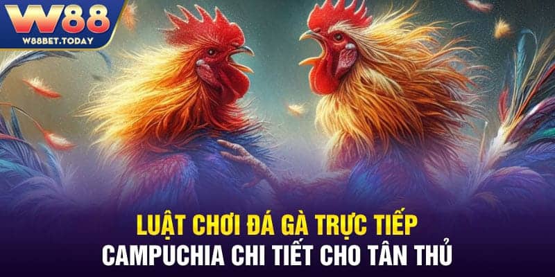 Luật chơi đá gà trực tiếp Campuchia chi tiết cho tân thủ