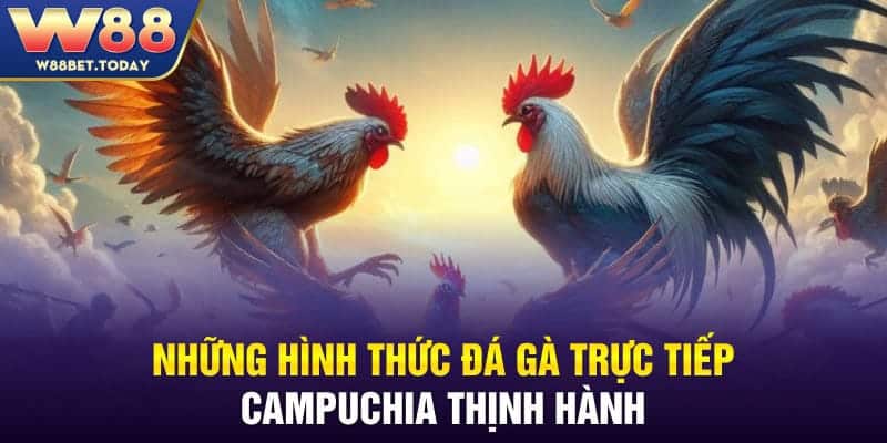 Những hình thức đá gà trực tiếp Campuchia thịnh hành
